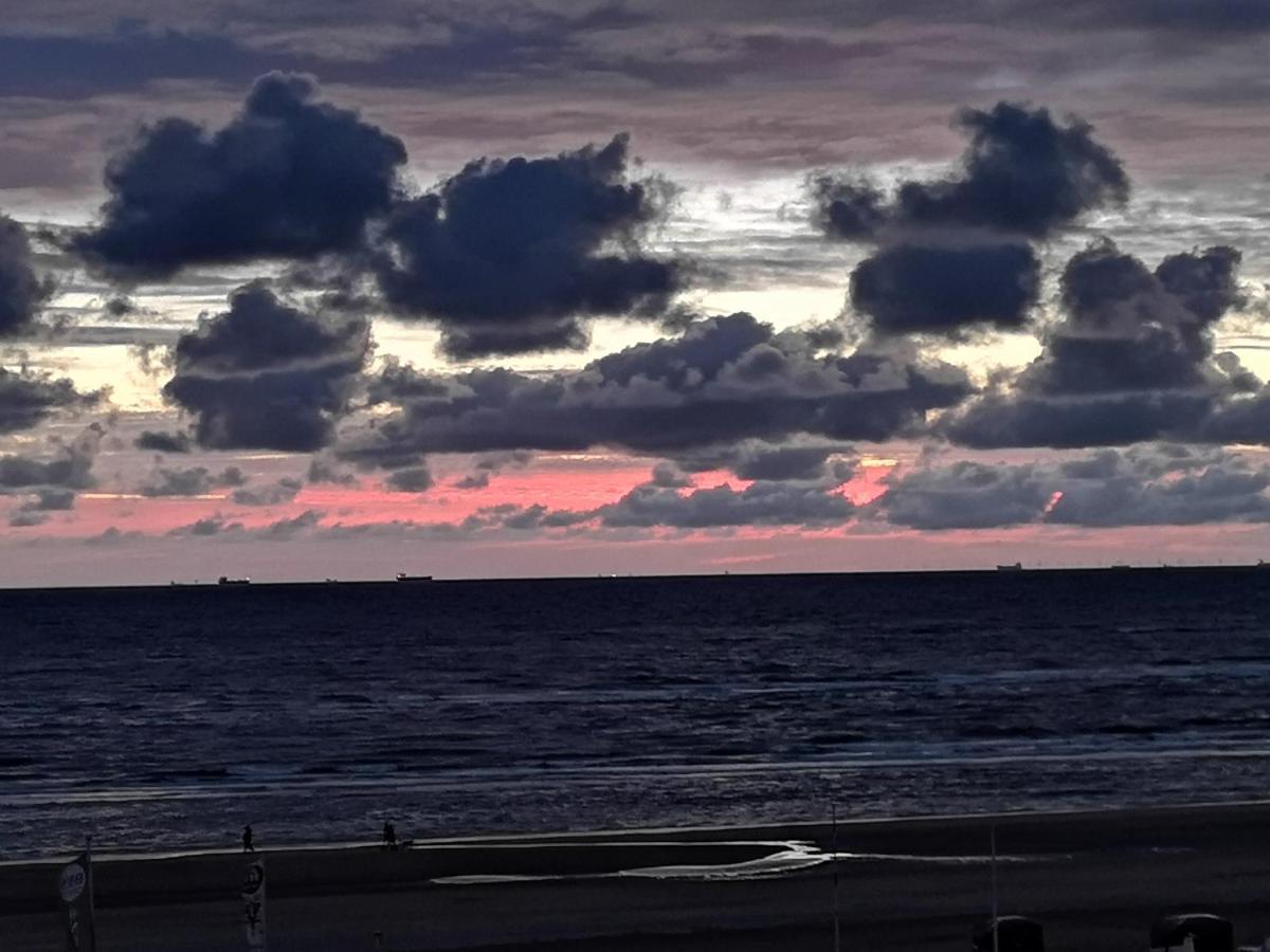 Beach Apartments Seaview Plus Parking Zandvoort Eksteriør billede