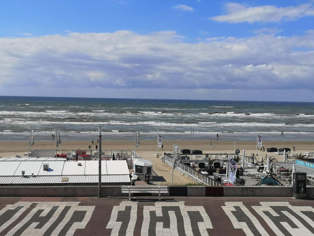 Beach Apartments Seaview Plus Parking Zandvoort Eksteriør billede